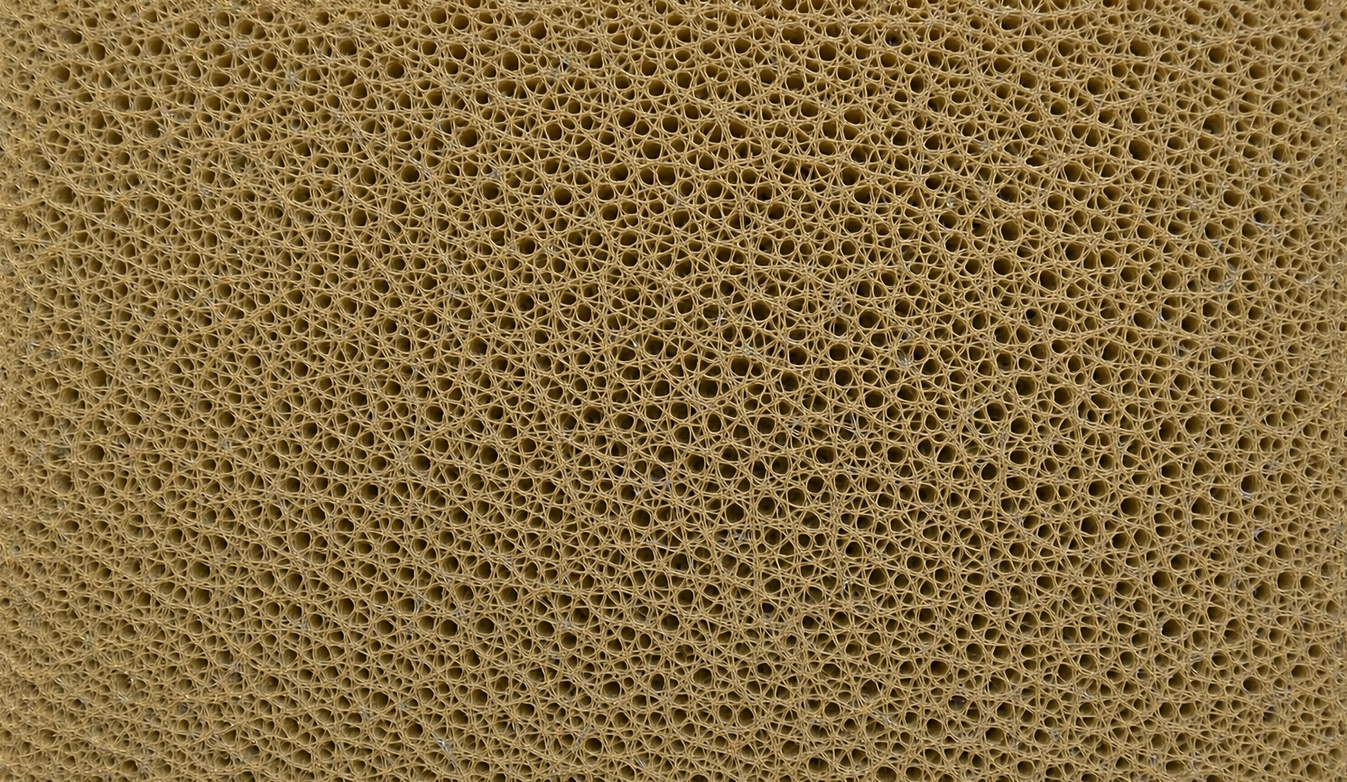 The uniform honeycomb-like microporous structure of the mineral core
