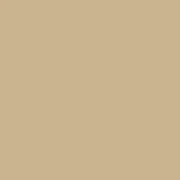 F0958 Beige