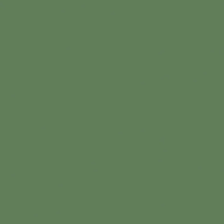 F2377 Spruce