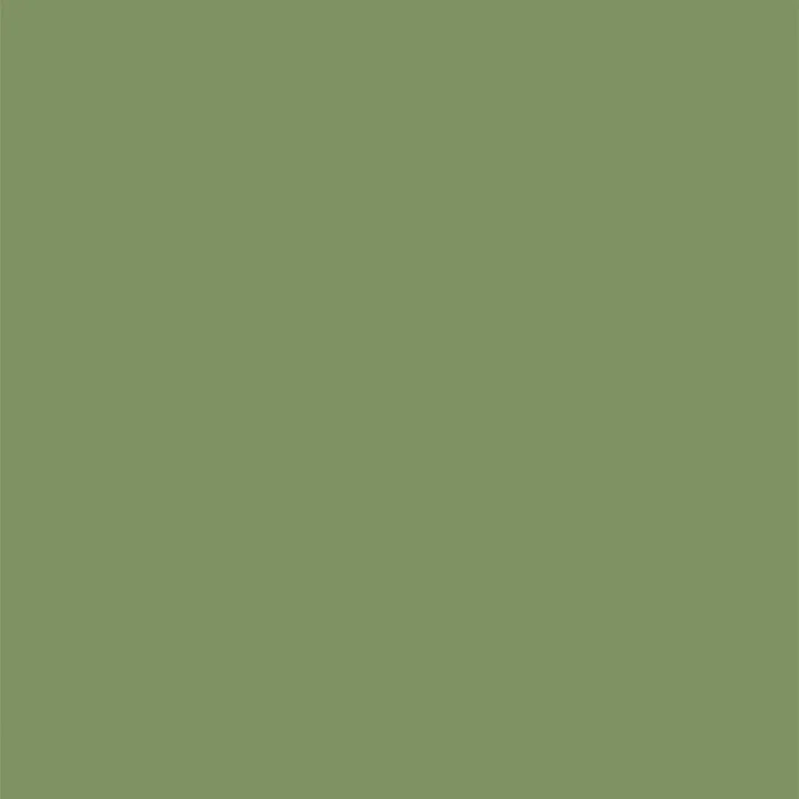 F5043 Lettuce